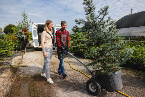 Best Tree and Shrub Care  in Hartley, CA